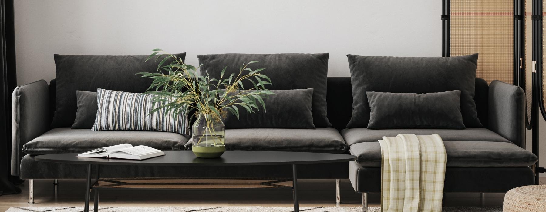 a couch with a coffee table and a plant on it