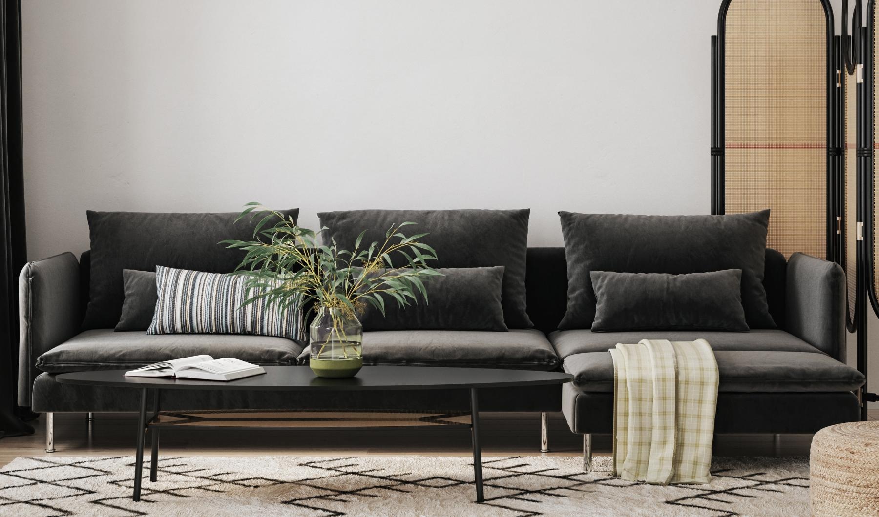 a couch with a coffee table and a plant on it